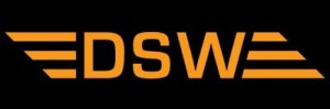 cropped-dsw-logo-horizontal.jpg